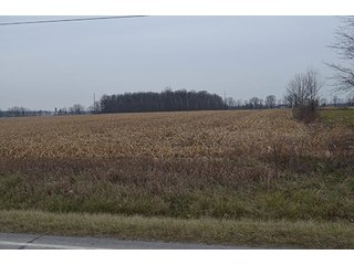Property photo 27 - LAND AUCTION, 77 Acres offered in 3 Tracts